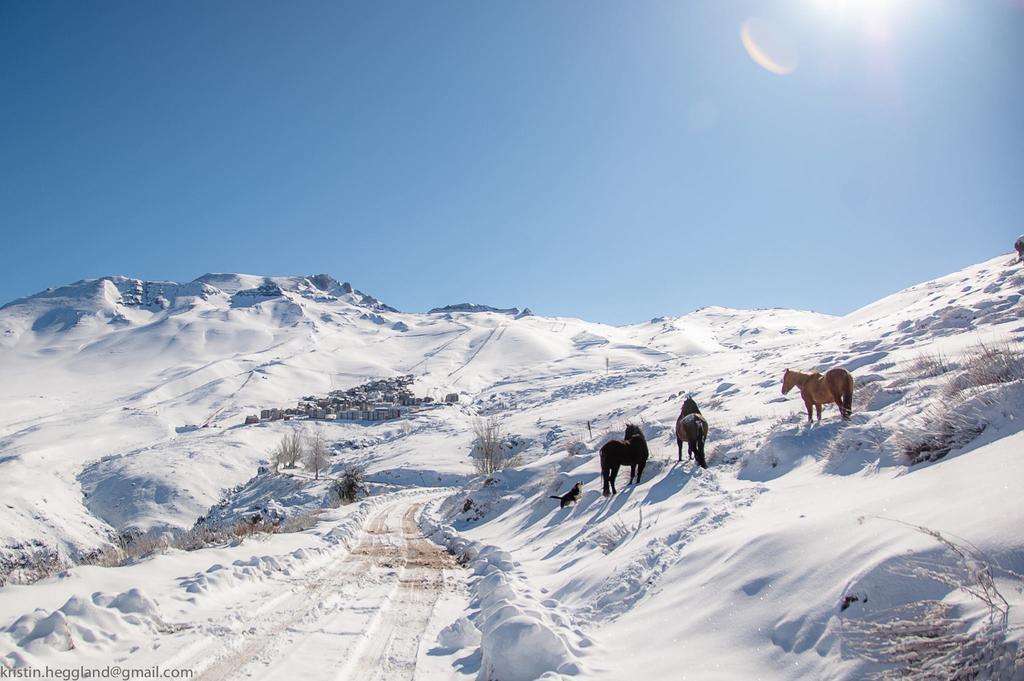 Lodge Cordillera บาเญเนวาโด ภายนอก รูปภาพ