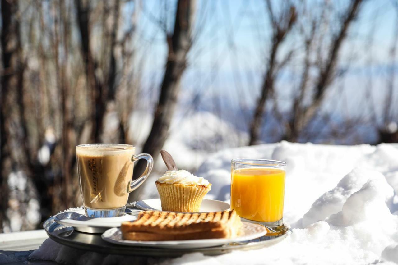 Lodge Cordillera บาเญเนวาโด ภายนอก รูปภาพ